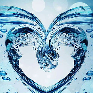 heart-water